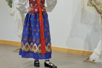 img3239